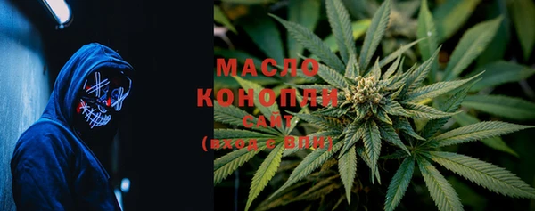 spice Инта