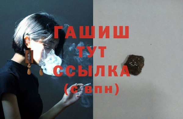 spice Инта