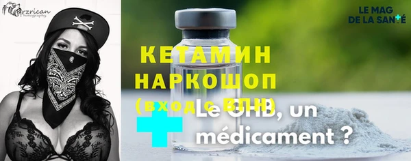 spice Инта