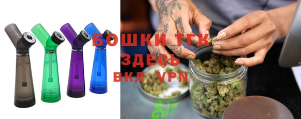 spice Инта