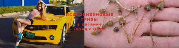 a pvp Инсар