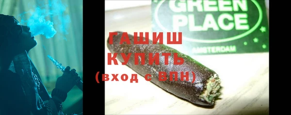 spice Инта