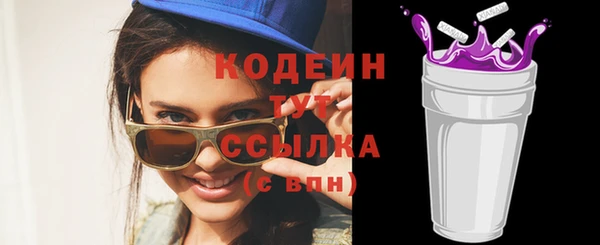 spice Инта