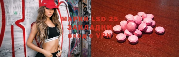 spice Инта