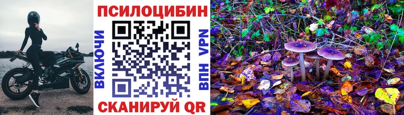 Купить где Микунь Псилоцибиновые грибы ЛСД